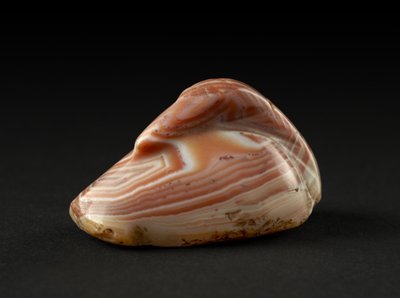 Duck weight by Egyptian